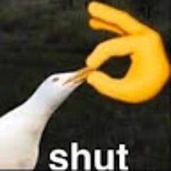 Reshiwuw's profile picture. 19 | 🚫 pls dont follow me i just wanna lurk in peace