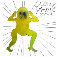 つまみ海苔子 (@psybba_) 's Twitter Profile