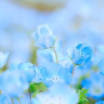 無言フォロー大歓迎
懸賞楽しくやりたい
話しかけてほしい!!
私の投稿に❤️💬してくれたら嬉しい
当選報告はメディア欄に
もしくは検索🔍からミケ蘭のお絵かき🎨で
🍺が好き