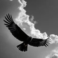 DDisrespecter's profile picture. 