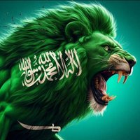 عابر طريق.. (@alshlahysary) Twitter profile photo
