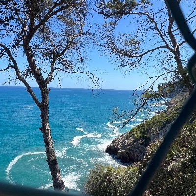 JoeKonroy's profile picture. #rememberingmolly