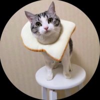 てるくん (@teru_officice) 's Twitter Profile