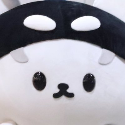 Fan account dedicated to Polcasan (Yai San/ San San)