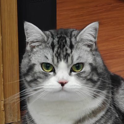 CoffeeHouse62's profile picture. 