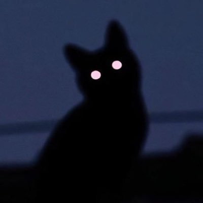 黒猫メガネさんのプロフィール画像