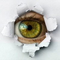 Fox66 (@fox666597294fox) 's Twitter Profile Photo