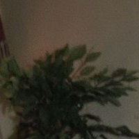 يوسف لؤي (@smsm35462810) 's Twitter Profile