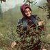 Azimoşşş🦋🕊️ (@karadagaz52) Twitter profile photo Azimoşşş🦋🕊️ (@karadagaz52) Twitter profile photo