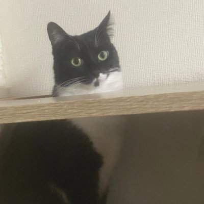 こんにちは。ぞんぞんって名前でやってます