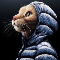 $B (@brendandagawd) 's Twitter Profile