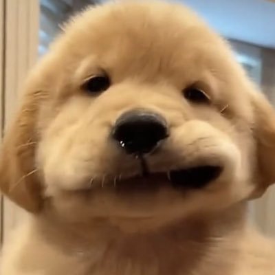 JN진니さんのプロフィール画像