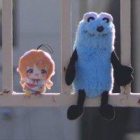 とね (@hibird_canon) 's Twitter Profile