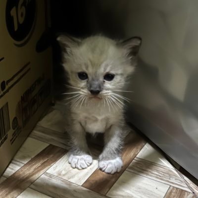 gerwinpineda's profile picture. Allen • May the odds be ever in your favor •