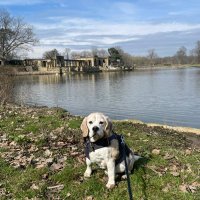 Herbie - adventures of a Beagle rescue pup (@herbieof) 's Twitter Profile Photo Herbie - adventures of a Beagle rescue pup (@herbieof) 's Twitter Profile Photo