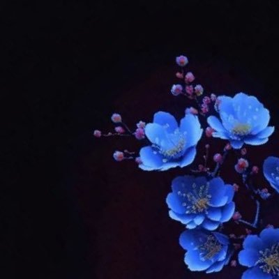 Zero45Super's profile picture. @ezdubs_bot english to France