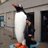 ClaireLouW84's profile image