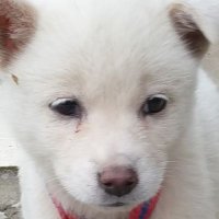 0อ3| (@mimi_jj03) 's Twitter Profile Photo 0อ3| (@mimi_jj03) 's Twitter Profile Photo