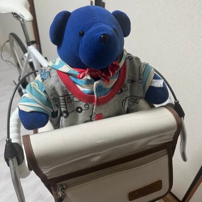 ロードバイク始めました 富士ヒル行きます ブルベも出てみたい 友人から買った謎のクロモリロード→ラレーCLR/LBYD21