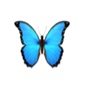 🦋 MOVED 🦋 (@aquivorous) 's Twitter Profile Photo 🦋 MOVED 🦋 (@aquivorous) 's Twitter Profile Photo