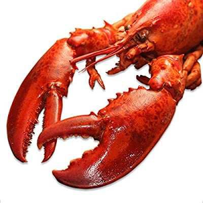 オマール海老bot🦞さんのプロフィール画像