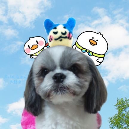 Balon🚑スペースアヒージョ🚑スバ友🚑さんのプロフィール画像
