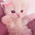 yisel 🎀 (@yyisel7) Twitter profile photo yisel 🎀 (@yyisel7) Twitter profile photo