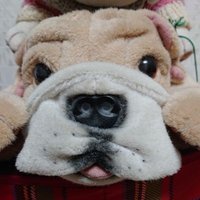 vulcan(ばるかん) (@vul777) 's Twitter Profile