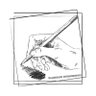 wasab_daihon's profile picture. シナリオ・物書き系個人同人サークル『わびさび文芸堂』主宰。演劇やTRPGしたり、舞台脚本やシナリオ書いたり、創作活動色々してます。普段はボカロと音ゲーが主食の雑食オタク。【オタ活中心の垢→@O2WASABI39Y】【演劇ユニット「きそう」(SSR勢)→@kisou_engeki】