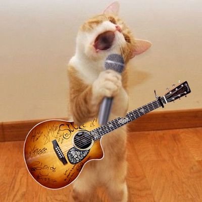 Fan account 기억 저장소, 연성러 아님(동일 닉 있더라)
부정적인 글 쓰고 삭제 많이 함
비팔디엠 알람안옴