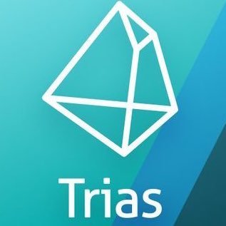 Trustworthy and Reliable Intelligent Autonomous Systems. A Layer'-1' blockchain and decentralized cloud computing infrastructure.