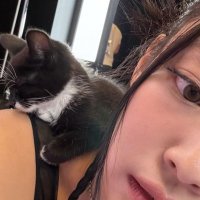 máy (@sk3tii) 's Twitter Profile