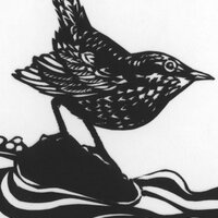 Lucrezia Bieler (@scherenschnitt) 's Twitter Profile Photo