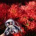 シルド (@ginsan3574) Twitter profile photo シルド (@ginsan3574) Twitter profile photo