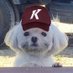 -ˋˏ 두부 ˎˊ- (@kduboow) Twitter profile photo -ˋˏ 두부 ˎˊ- (@kduboow) Twitter profile photo