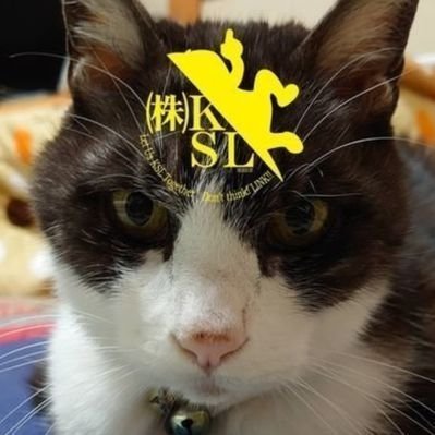 🍄徒歩通勤ガチ勢🍄#やまぐちいんぐれす #まえかぶクソリンク(@maekabuKSL) 代表取締られ役 #ミッションメダルが見たい #ろくさんじま #孤独のKSL #Ingressアウトレイジ #タクティクス俺 #MD関門海峡 #おかん飯しか勝たん #俺の雑い飯 #スカイホップブルーイング