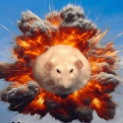 Rat44King's profile picture. 25M, 6'4, enjoys everything