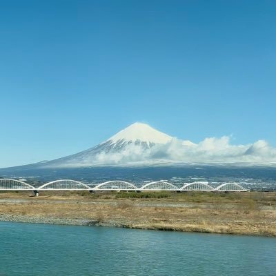 481driver's profile picture. とにかく気になる