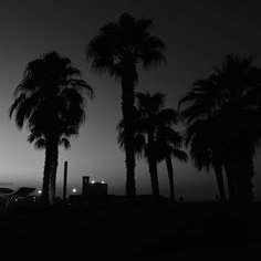 wydgavn7's profile picture. 