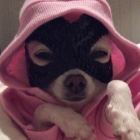 날름 (@nanalmnalm) 's Twitter Profile Photo 날름 (@nanalmnalm) 's Twitter Profile Photo