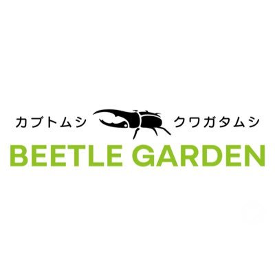 仙台の昆虫専門店! 世界のカブト・クワガタを中心に、飼育用品や標本、書籍を販売中♪初心者&お子さまも大歓迎! 【営業時間】平日16:00〜22:30/土日祝12:00〜19:00 火曜定休日 【TEL】022-762-7664