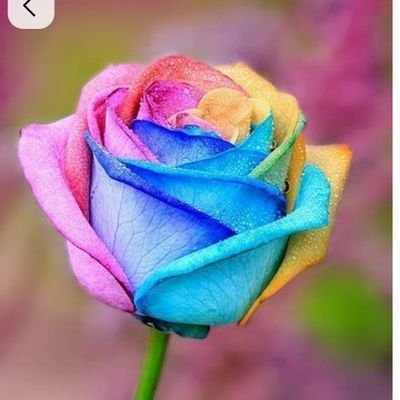 ひいたろう☯️さんのプロフィール画像