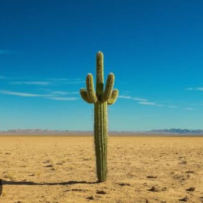 saboten1347938's profile picture. 好きなもの：ミュージカル、ゾゾゾ、甘いもの、寝ること