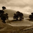 Knieriem Plotrowski - @KnieriemP54688 - Twitter