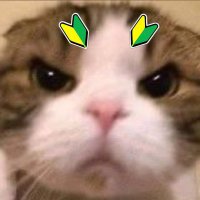 ใใใ๐ฐ (@yahho_oooo) 's Twitter Profile