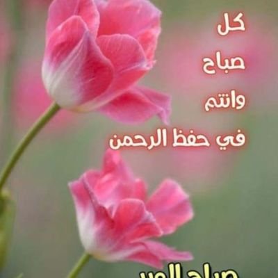 احترم الجميع من شتى المنابت و المعتقدات و المذاهب و الأفكار والتوجهات السياسية بشرط عدم التجريح و الطعن و ارد المتابعة لكل من تابعني