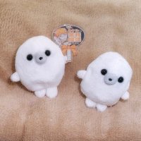 らびっちょ (@lovichocolate) 's Twitter Profile Photo