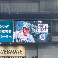 せーぽん@4/18 甲子園 (@gccx_im7) 's Twitter Profile