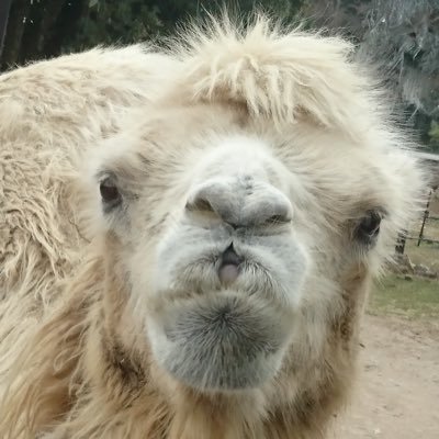 ゆうほうさんのプロフィール画像