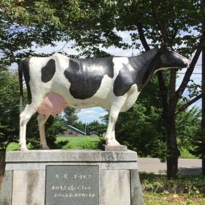 酔牛(A5)さんのプロフィール画像